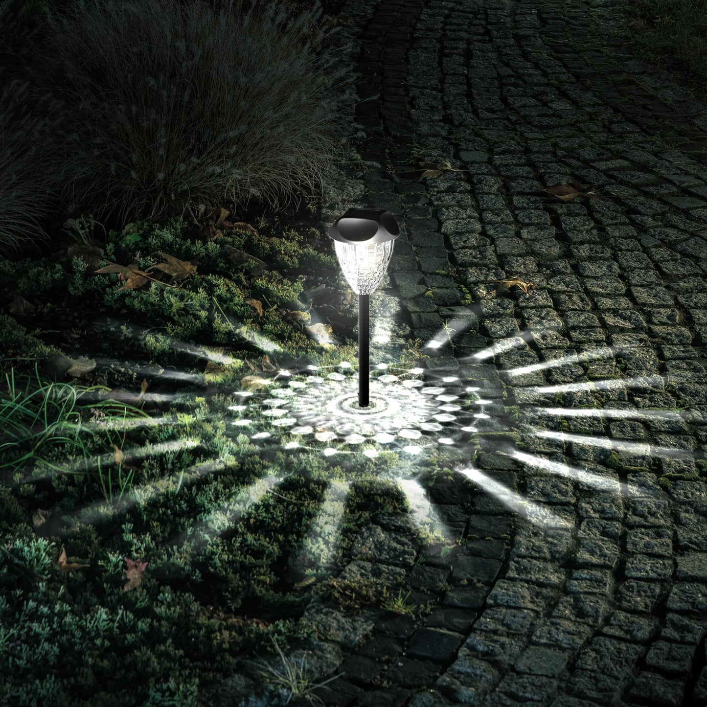 Ensenior 12-Pack Solar Garden Lights, Cool White LED, Auto ON/OFF, Waterproof, Plastic, Model CP3-10CM-65K-12-BL-ZY-M02